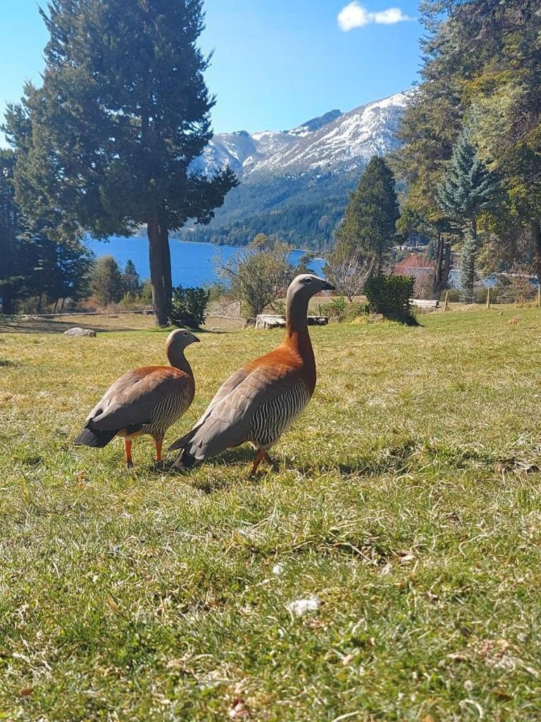 Casa Del Lago San Carlos de Bariloche Exterior foto